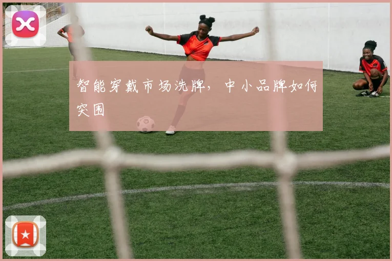 智能穿戴市场洗牌，中小品牌如何突围