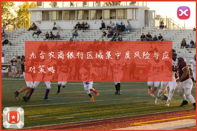 九台农商银行区域集中度风险与应对策略