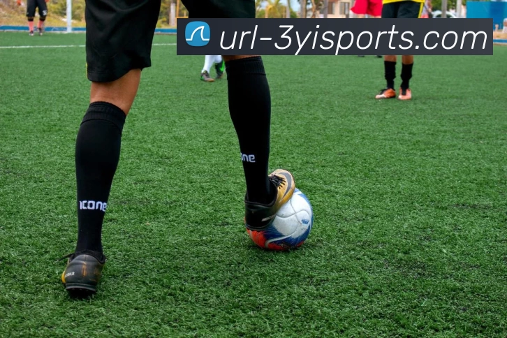 三亿官网全站App